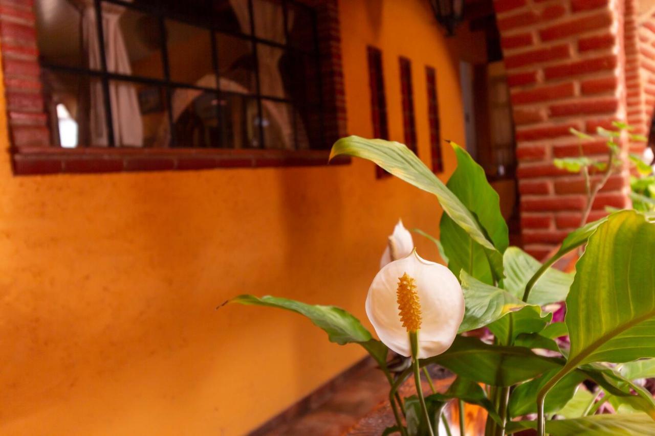 Mex Suites Casa Azul B&B Мехико Экстерьер фото